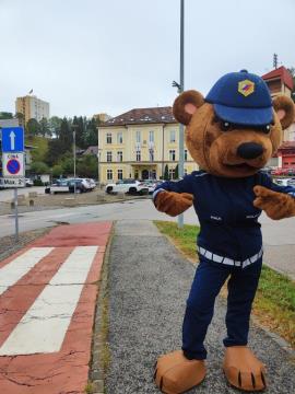 Pred začetkom novega šolskega leta (6)